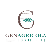 Senza titolo-7